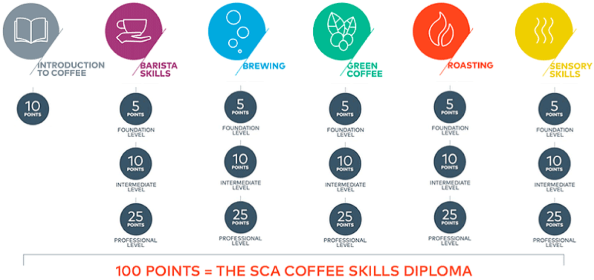 SCA Coffee Brewing Foundation